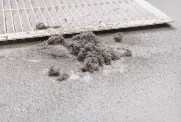 Best Air Duct Cleaning Near Me  in Taft, TX