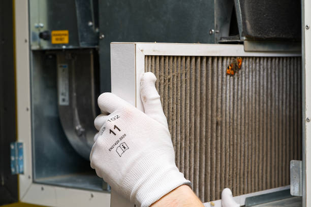 Best Affordable HVAC Duct Cleaning  in Taft, TX